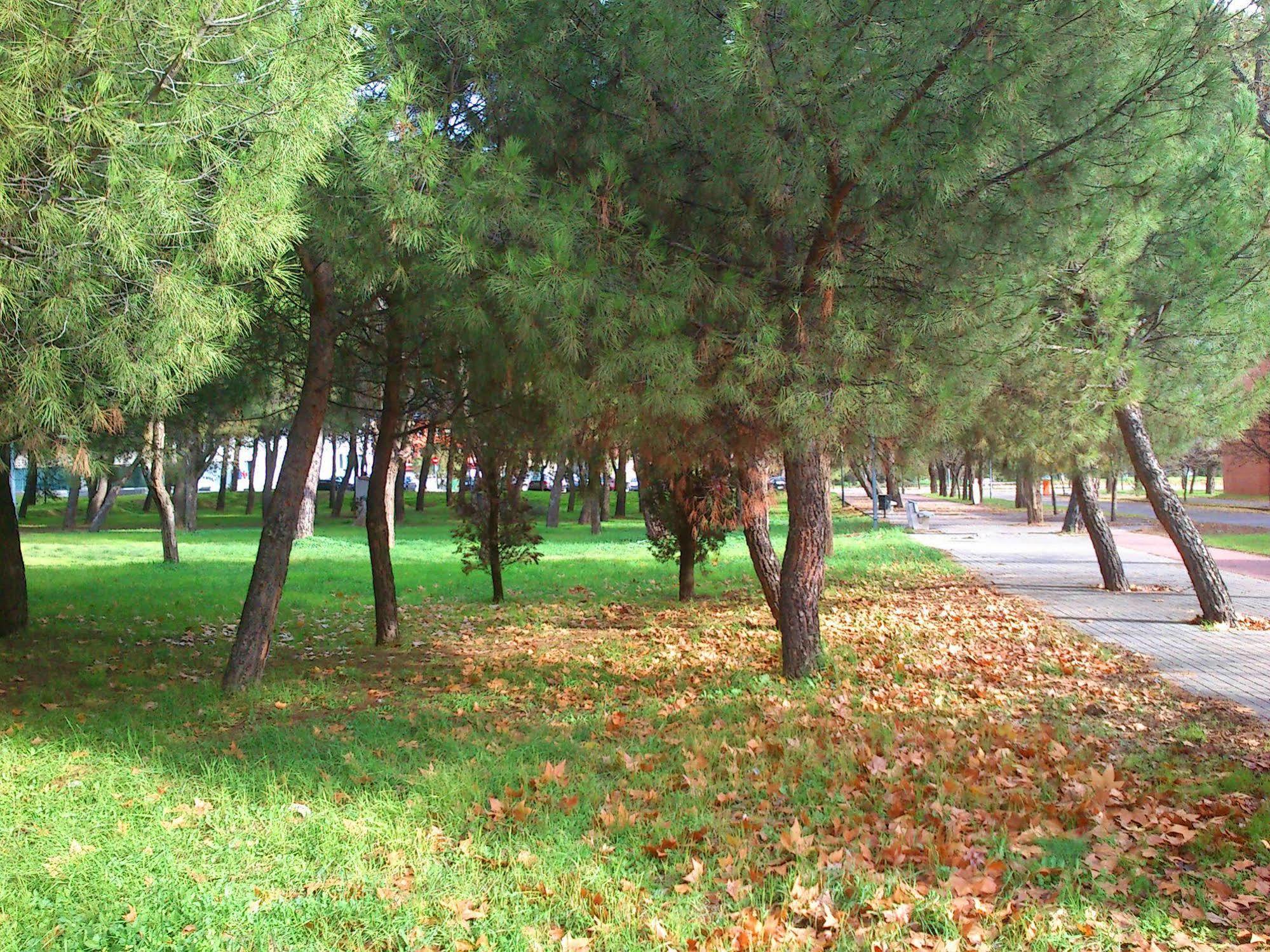 Residencia Universitaria Resa Giner De Los Rios Alcala de Henares Bagian luar foto